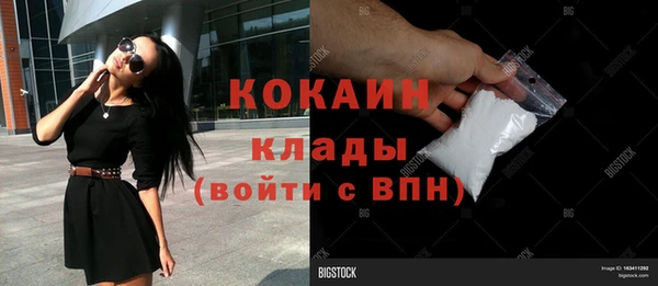 крисы Богородицк