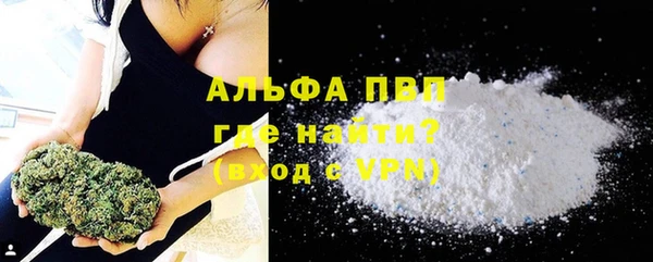 крисы Богородицк