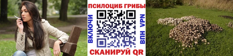 Галлюциногенные грибы MAGIC MUSHROOMS  omg ссылки  Великие Луки 