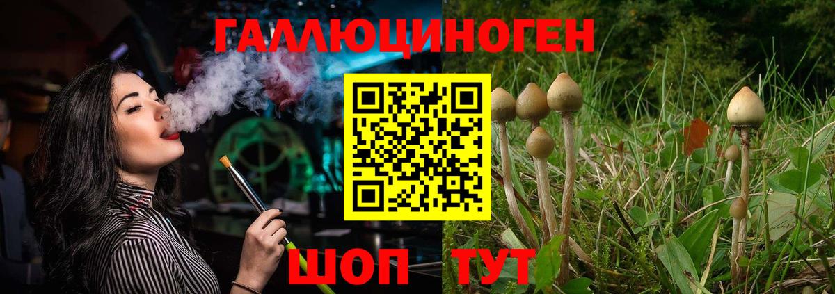 Великие Луки  Галлюциногенные грибы MAGIC MUSHROOMS  Псилоцибиновые грибы Cubensis  Вход с VPN 