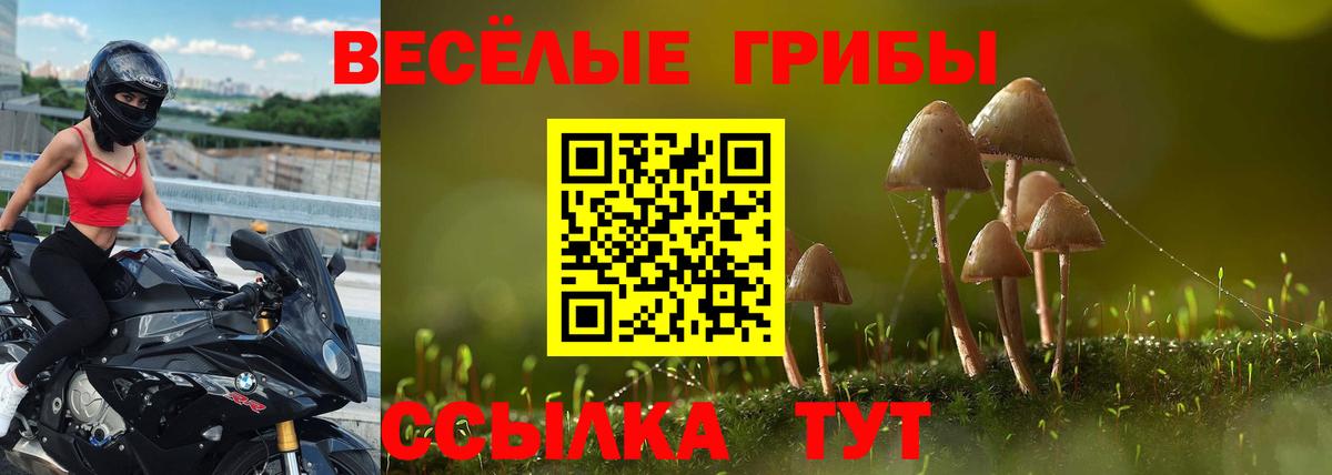 Галлюциногенные грибы GOLDEN TEACHER Великие Луки